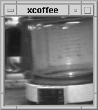 Live CoffeeCam feed