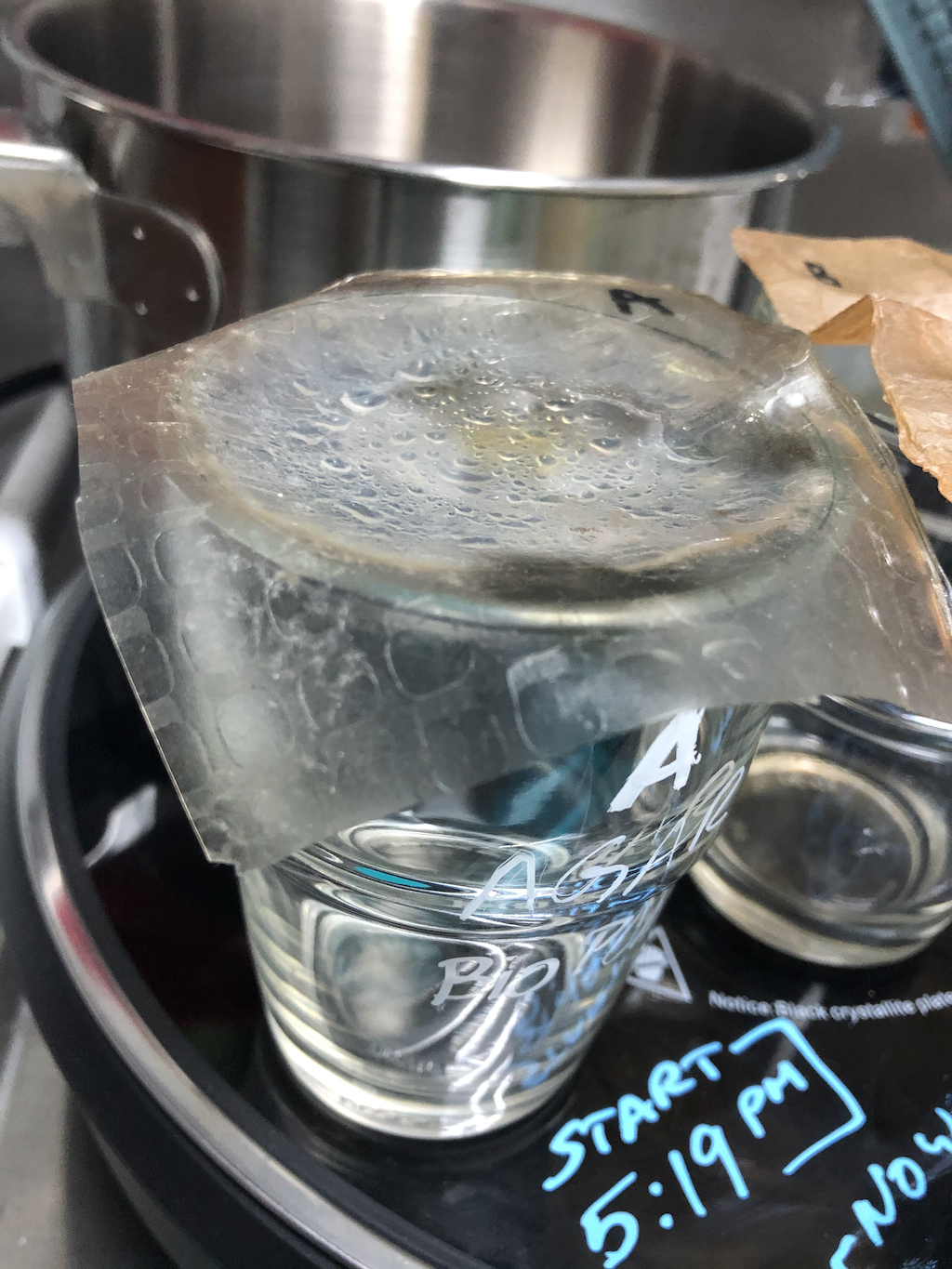 Kitchen made DIY BioPlastic: Rice Starch