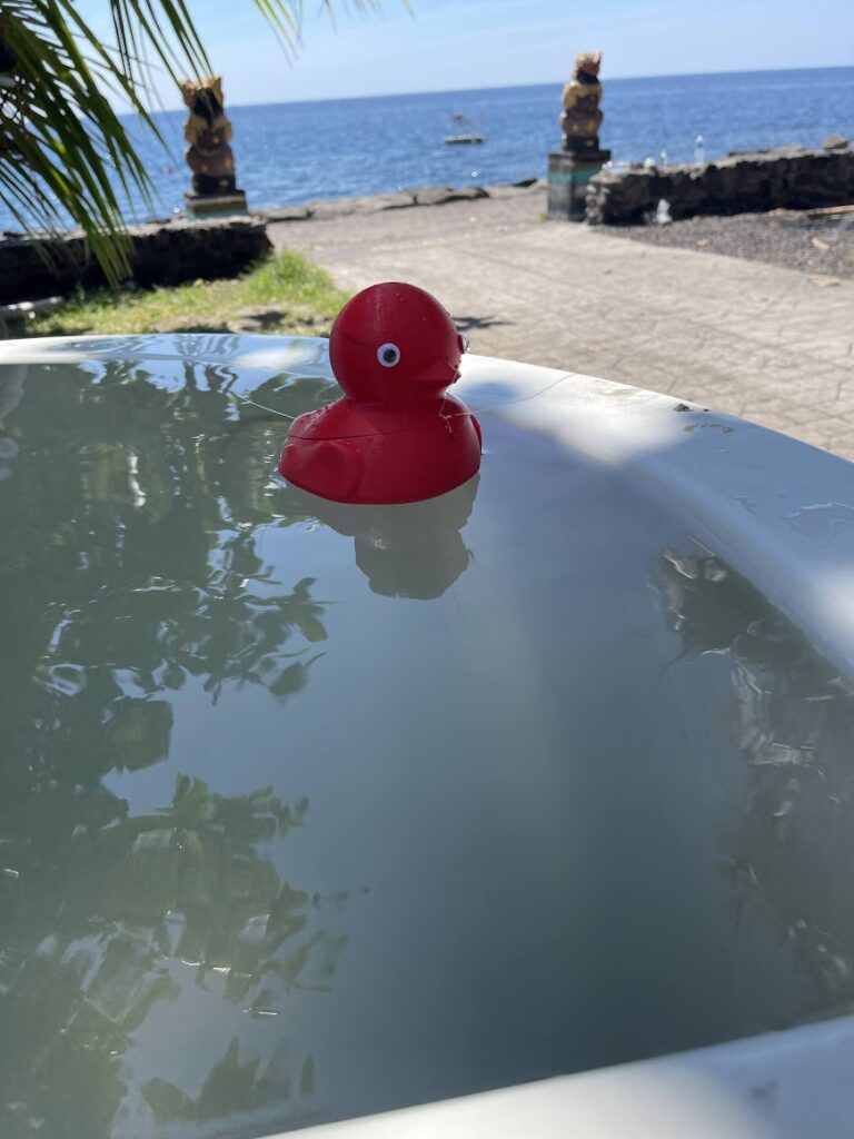 red ducky makes it to Bali to test the waters there
